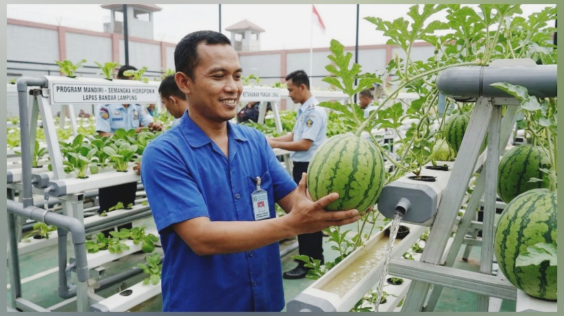 Bandar Semangka: Solusi Harian untuk Kebutuhan Rumah Tangga Cilacap